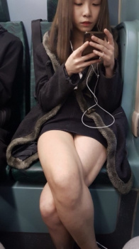 電車内で見る足組みって思った以上にエロいの画像