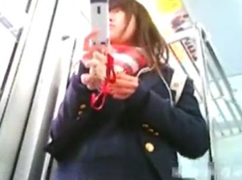 【盗撮動画】ガチもの危険映像！電車で可憐な美少女JKを発見してパンチラ隠し撮り！！の画像