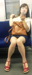 電車で対面に座る女の子がパンチラしてたので連写したったwwwの画像