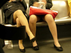 電車で対面に座るタイトスカートのOLのスカートの中wwwの画像