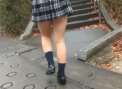 登校中の制服JK少女スカートめくりパンチラ盗撮～縞々パンティ隠し撮りの画像