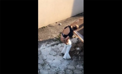 【野ション盗撮動画】タトゥーが入ったムチムチの女の子が路地裏でオシッコしてる様子の画像