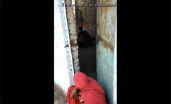 【路上盗撮動画】掘っ立て小屋の中でセックスをする男女･･･と、入り口で番をする女性の画像