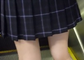 エスカレーターでポロシャツ制服女子のパンツ逆さ撮りの画像