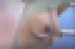 海の家のシャワー室で友達同士で全裸になり着替える巨乳娘を隠し撮りの画像