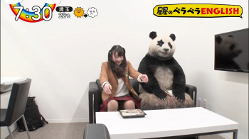 【GIF画像あり】『ZIP!』パンダの横で821(ハニー）のレイアちゃんがパンチラ放送事故ｗｗｗの画像