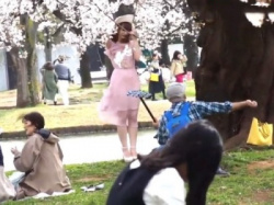 【盗撮動画】お花見の中撮影中の素人モデルさん、風パンチラハプニングを激写されるｗｗｗの画像
