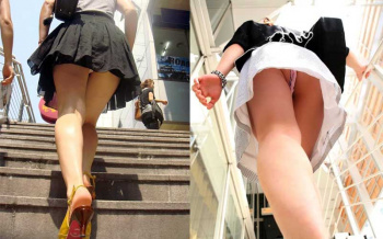 階段パンチラ！犬目線で女子のスカート内が丸見え画像の画像