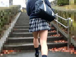 【盗撮動画】プリップリのプリケツを包み込むボーダーパンティを晒された帰宅途中の女子校生♪の画像