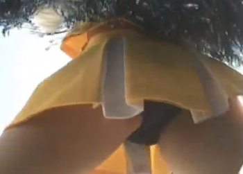 削除注意！ 甲子園のJKチアのハミパンを逆さ撮りしたマジモン映像が絶賛流出中の画像