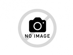 盗撮動画ギャラリー：真っ赤なエロパンティを穿いたギャルの画像
