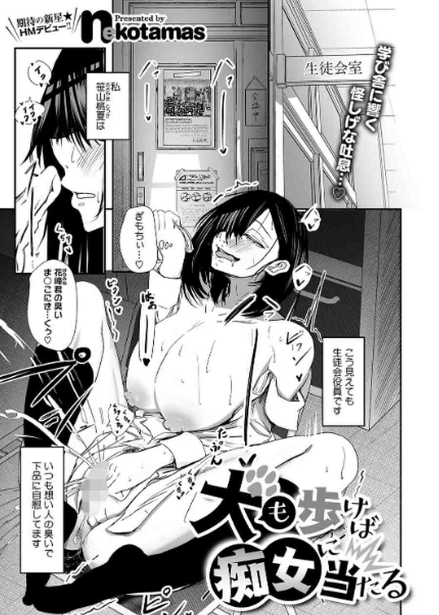 犬も歩けば痴女に当たる-001