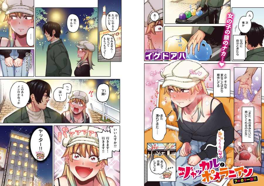 ジャッカルとポメラニアン-002